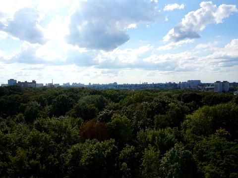 квартира по адресу Авиаконструктора Игоря Сикорского ул. (Танковая), 1