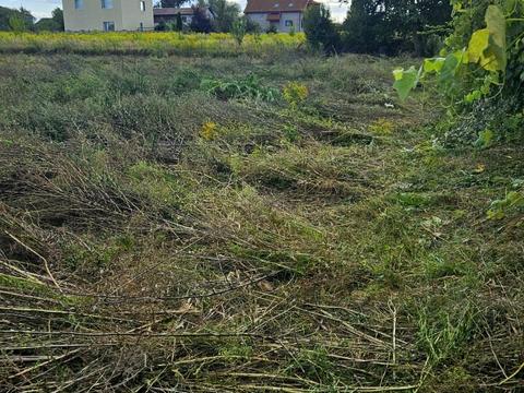 ділянка за адресою дружби/ гоголівська