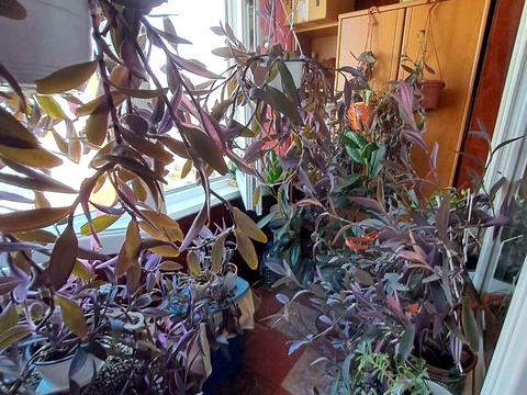 квартира за адресою Південна вул., 11