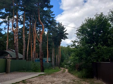 будинок за адресою Грибна