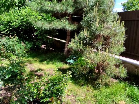 будинок за адресою Олександрівська