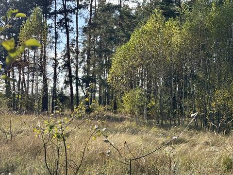 ділянка за адресою Чубаря