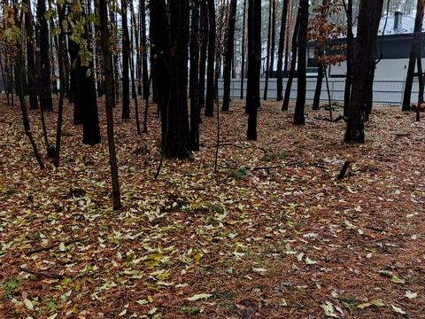 ділянка за адресою Лісовий пров.