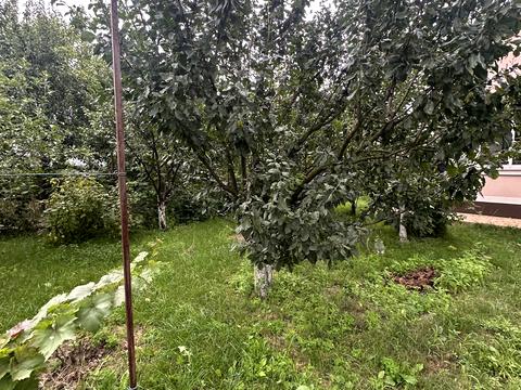 дом по адресу Гайова, 39а