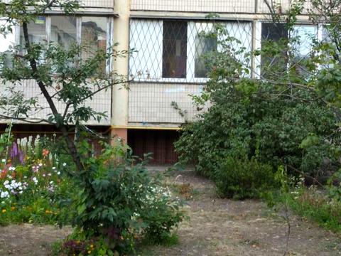 комерційна за адресою Миколи Закревського вул., 43