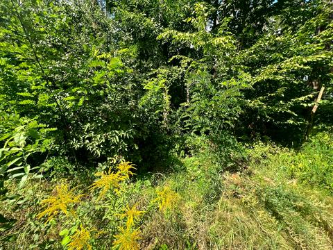 ділянка за адресою Котляревського