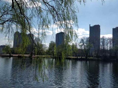 квартира по адресу Юрия Шумского ул., 3-Г