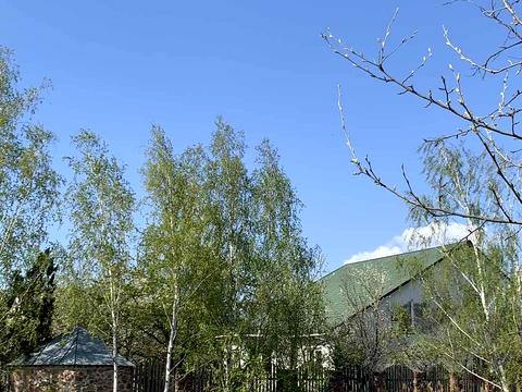 участок по адресу пгт. Козин, 