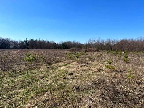 участок по адресу 