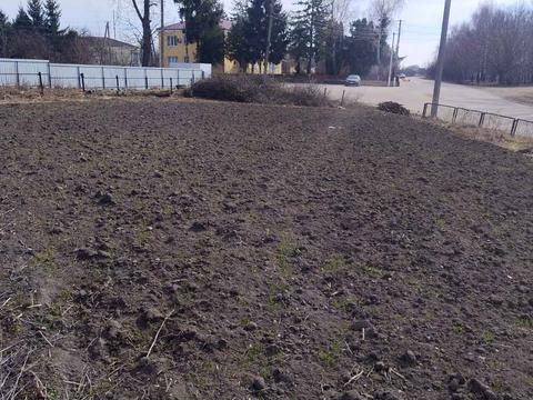 ділянка за адресою с. Новоставці, Центральна, 72