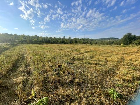 ділянка за адресою Шевченка