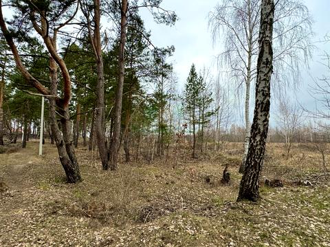 ділянка за адресою Левка Симиренка вул., 41