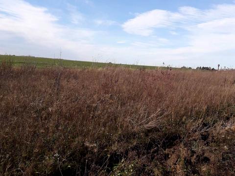 ділянка за адресою С. Карпівці