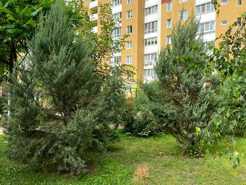 квартира по адресу Сергея Данченко ул., 5