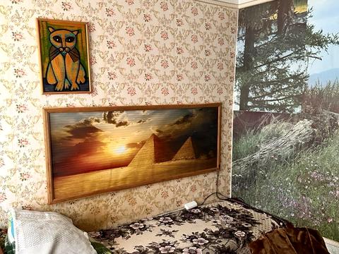 квартира по адресу Пушкина ул. (Пушкина), 43В