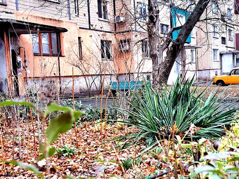 квартира по адресу Сергея Колачевского ул. (23-го Февраля), 145