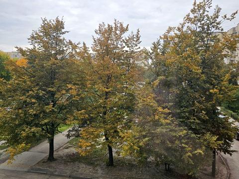 квартира по адресу Кульпарковская ул. (Кульпарківська), 133