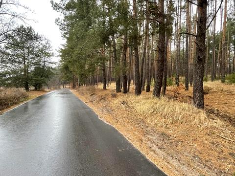 участок по адресу Пасечная