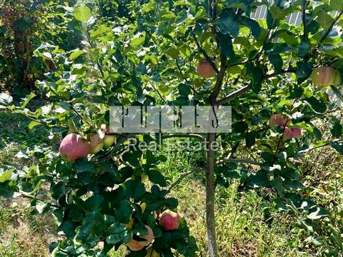 будинок за адресою Світильня