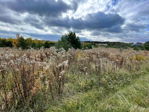 ділянка за адресою Виноградний пров.