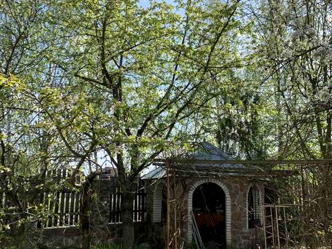 участок по адресу пгт. Козин, 