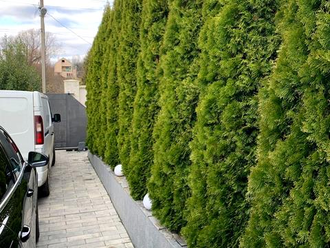 дом по адресу Радісна