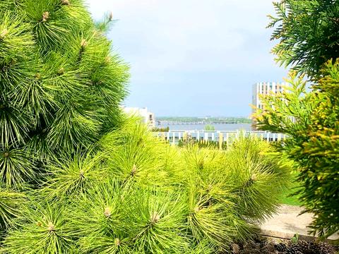 квартира за адресою Дніпро, Володимира Вернадського вул. (Дзержинського), 35-Т