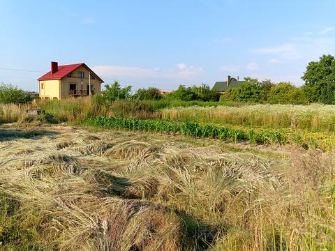 участок по адресу Івасюка, 48