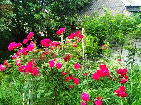 квартира за адресою Васильківська вул., 15