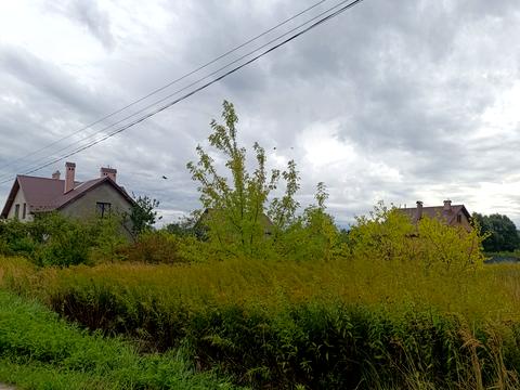 ділянка за адресою І . Білозіра