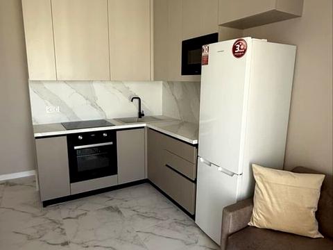 квартира по адресу Краснова ул., 3