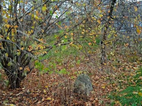 будинок за адресою біліченко, 9