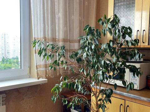 квартира по адресу Лесковская ул., 7-А