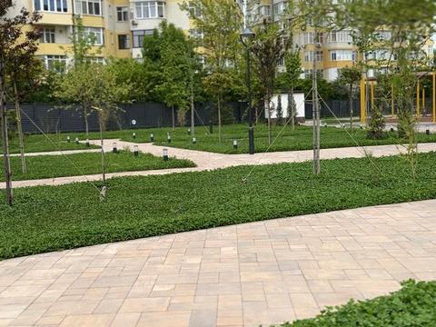 квартира по адресу Краснова ул., 3