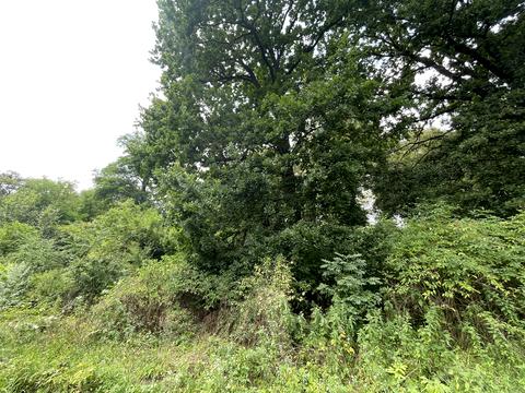 будинок за адресою с. Великі Гаї, Лісова вул., 5