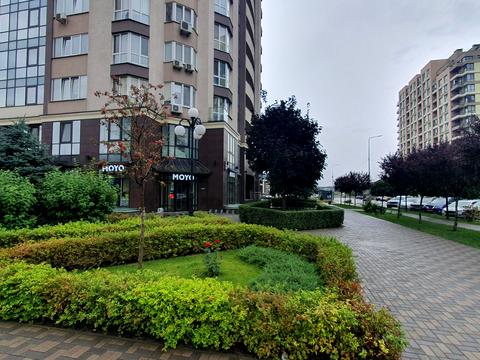 комерційна за адресою В'ячеслава Чорновола вул., 15