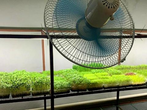 коммерческая по адресу Вул. Гальчевського Якова, 10