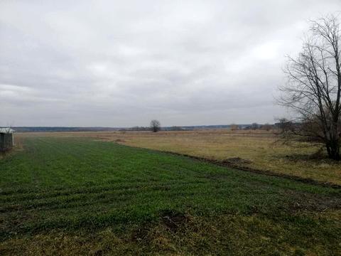 ділянка за адресою Лісова