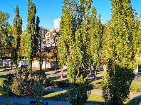 квартира по адресу Академика Вернадского бульв., 50