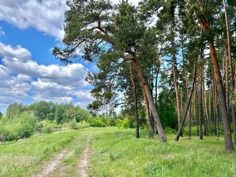 участок по адресу 