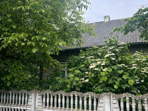 будинок за адресою Вітовського, 16