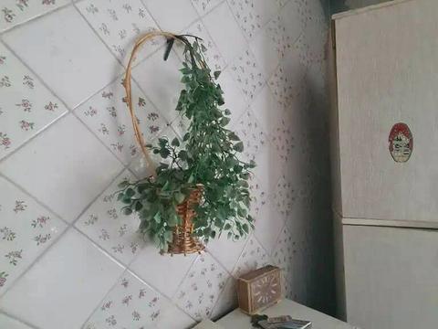 квартира по адресу Каверина ул. (Каверина), 1