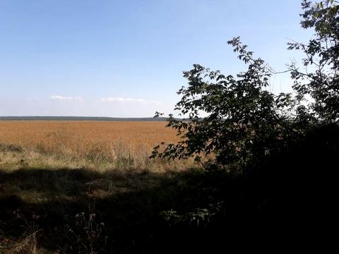 участок по адресу 