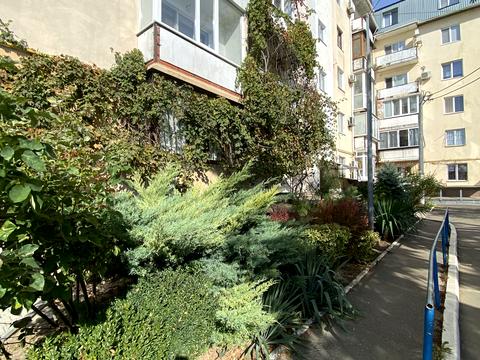 квартира по адресу Свободы просп., 31а