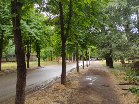квартира по адресу Степана Тильгы ул. (Революційна), 41