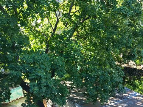 квартира по адресу Ивана Мазепы ул. (Январского Восстания), 11-А