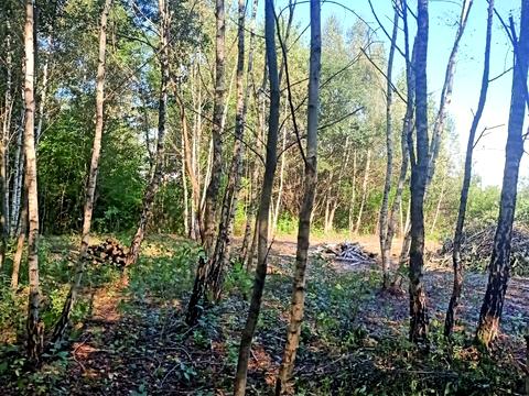 ділянка за адресою Михайла Зорія