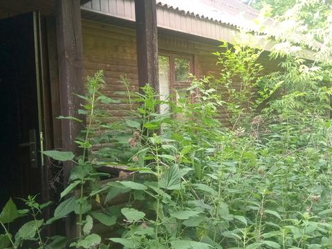 дом по адресу Зарічна, 43