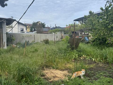 будинок за адресою Одеса, Достоевского