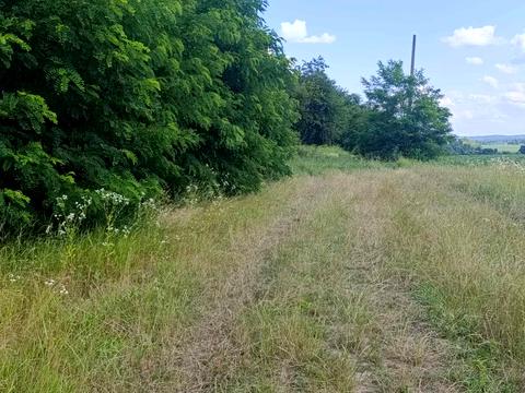 ділянка за адресою Вінницьке шосе